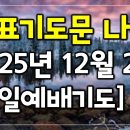 2025년12월2주 | 대표기도문 이미지