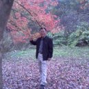 광평초교 이미지