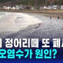 후쿠시마 핵연료 잔해 이르면 8월 첫 반출‥"3ｇ 분량 예상" 이미지