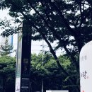 내손안마원 이미지