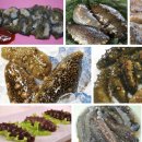 짠짜라노래연습장 | 속초 포장마차거리 영랑동 포차거리 황금마차 코난포차 &amp; 속초 배달음식 압빠닭