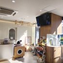 대방동물병원 이미지