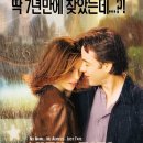 serendipity(세렌디피티) 이미지