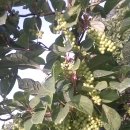 제천농장 이미지