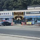짜장삼촌