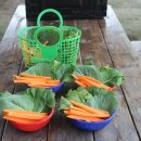 말순농장 이미지