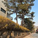 석사근로복지(석사) | [직장인 대학원생_1학차] 5주차 일상 (중앙도서관 / 도서 대출 / 기본소득)