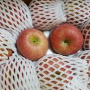 청솔농원 이미지