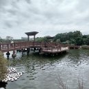 일산호수공원 이미지