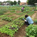 친환경농장 이미지