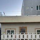 YOON STAY | 부산 애견동반숙소 추천 윤스테이