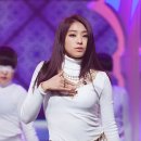 보라 이미지