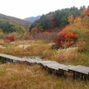 오선농장 이미지