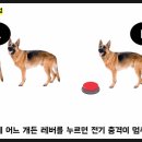 준그룹 네이버블로그