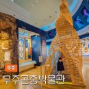 반디랜드 제2주차장 야외 | 전북 무주 가볼만한곳 실내 반디랜드 곤충박물관 아이와 체험