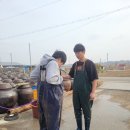 다솜초등학교 이미지