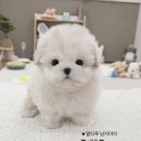 작고 소중해 이미지