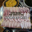 [사랑해사랑회 계산점] 인천 계산동 대방어회 맛집 내돈내산 솔직후기