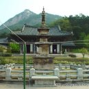 봉암사 - 1772 | 봉암사