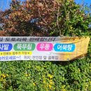 도리2천 이미지