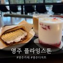 플라잉스톤 이미지