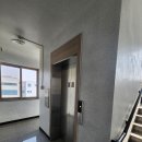 신대매안초 이미지