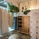 신화타운  올리브영 앞 이미지