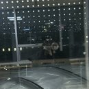 윤영재원 이미지