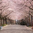 봉수경로당 이미지