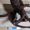 황철미가 이미지