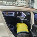 스팀코리아 이미지