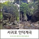 안덕면 화순리 재활용 도움센터 | 서귀포 가볼 만한 곳 천연기념물 계곡 안덕계곡