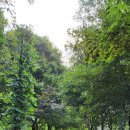 동암약수터 이미지