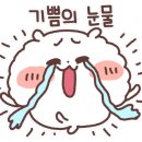 챠오차이 이미지
