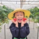 대기농장 이미지