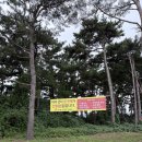 둔덕동주민센터 (건너) | 서산 여행 : 간월암, 서산버드랜드, 야생동물치료센터, 해미읍성, 교황빵 (서산 당일치기)