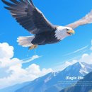 독수리 이미지