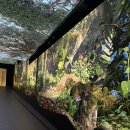 낭만 홍'S | 내돈내산💰 홍콩 피크트램 솔직 후기 🚊 (웨이팅, 자리 꿀팁, 날씨, 기념품샵까지 총정리)