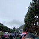 여주-0615 이미지