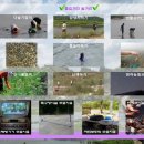 금빛펜션한반도 이미지