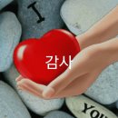 시그니처피자 이미지