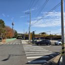 국립생태원 | 서천 국립생태원 에코리움 후기(주차꿀팁, 식당 등)