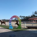 홍성군 승마장 이미지