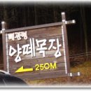 유한목장 이미지
