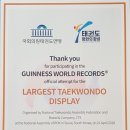 용인대가온태권도 이미지