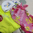 팀식스아쿠아키즈 이미지