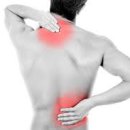 진남한의원 이미지