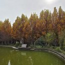 임주식당 이미지