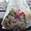 속초막걸리술빵술빵 | 속초중앙시장 막걸리술빵 직접 줄서서 산 후기 (웨이팅 시간)