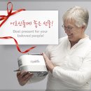 닥터에이스